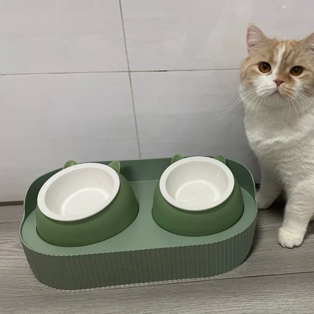 Podwójna Miska dla Kota